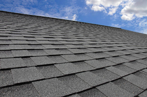 Best Roof Maintenance and Cleaning  in Rome, IL